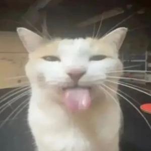 eyi