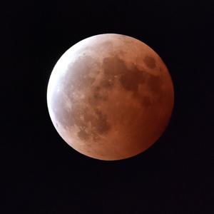 Math in the Moonlight