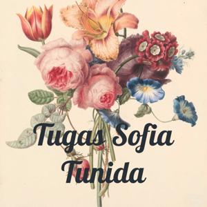 Tugas Sofia Tunida