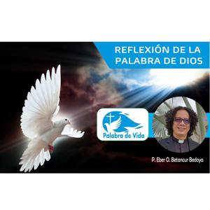 PALABRA DE VIDA