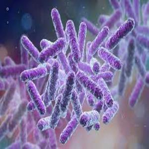 Exosome