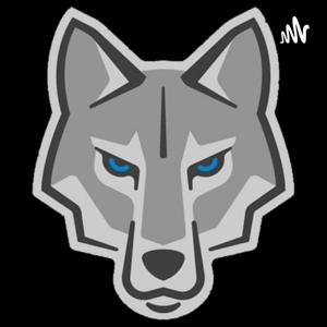 West Ridge High School Football Radio