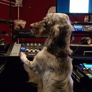 Goaszendvics [Tilos Rádió podcast]