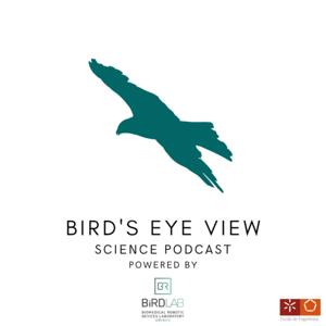 Bird's Eye View - Science Podcast