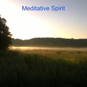 Meditative Spirit