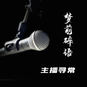梦前碎语