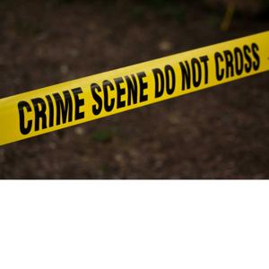 Murder Mystery Cases