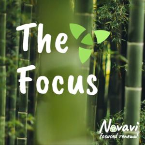 The Focus