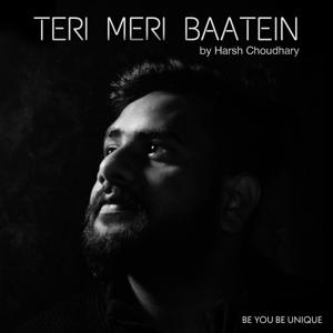 Teri Meri Baatein