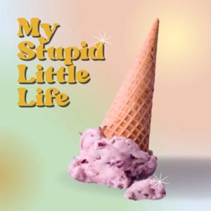 My Stupid Little Life