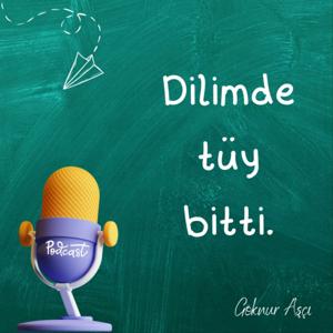 Dilimde Tüy Bitti