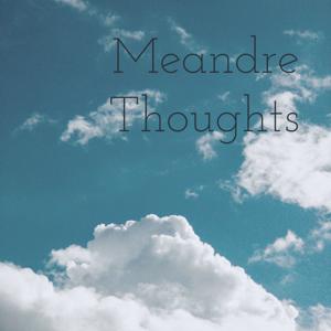 Meandre Thoughts