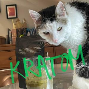 Kratom - rozhlasový dokument