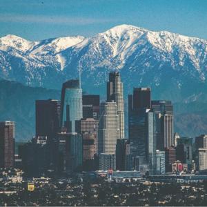 Free Mind Collective Podcast
