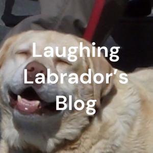 Laughing Labrador's Blog