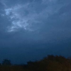 Edited songs