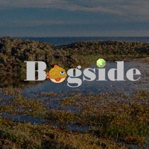 Bogside Chats