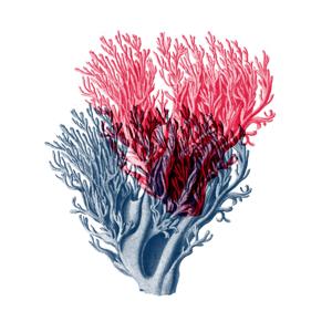 Arborescence