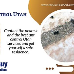 Ant Control Utah