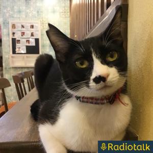 そして今夜も映画やアニメの話