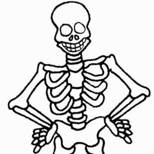 Fisioterapia