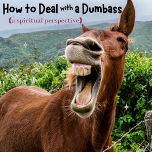 How to Deal with a Dumbass (a spiritual perspective)