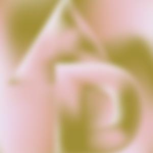 Politika | Radio Eter