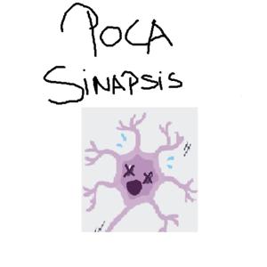Poca Sinapsis