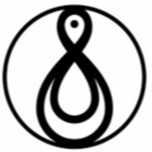 TheInvestorProphet