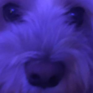 Stuff not on Spotify 2