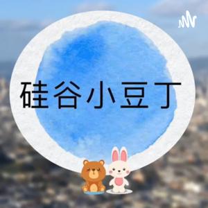 硅谷小豆丁