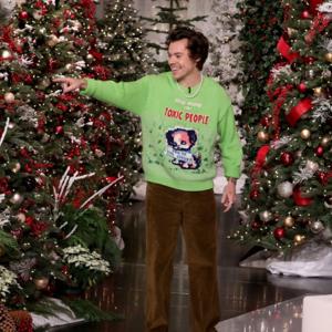 Harry Styles - Wonderful Christmastime