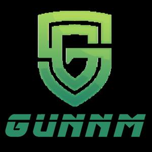 Gunnm Anime Club