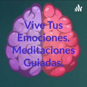 Vive Tus Emociones. Meditaciones Guiadas.