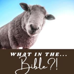 What in the...Bible?!