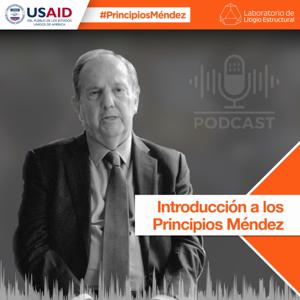 Principios Méndez: entrevistas efectivas para investigación y recopilación de información.