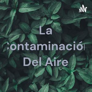 La Contaminación Del Aire