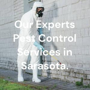 Our Experts Pest Control Services in Sarasota.