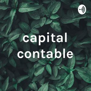 capital contable