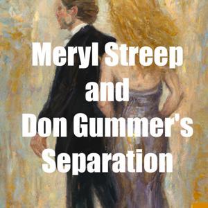 Meryl Streep and Don Gummer's Separation