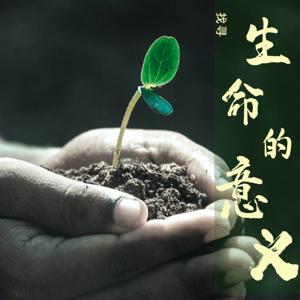 明心见性杂说(视频)