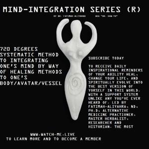 Mind-Integration Series - "Next Level Healing Shyt"