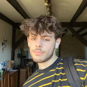 Dans les pensées de Rom