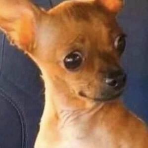 LORDxMvTIK