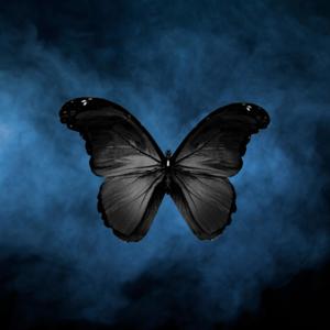 Le Papillon Noir