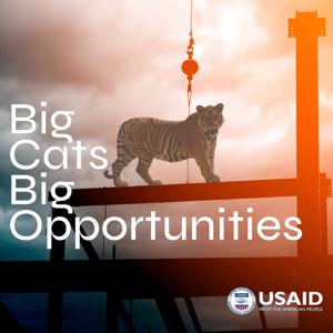 USAID's BIG CATS BIG OPPORTUNITIES