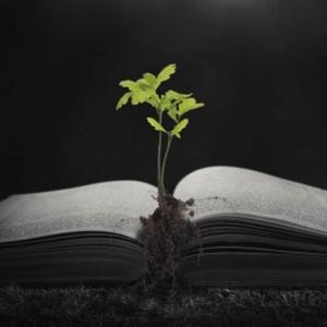 El Evangelio del Domingo