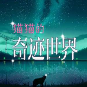 猫猫的奇迹世界｜看鸡毛蒜皮｜笑谈人生百态｜原创播客