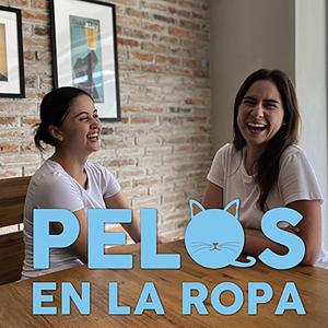 Pelos en la ropa