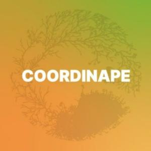Coordinape Community